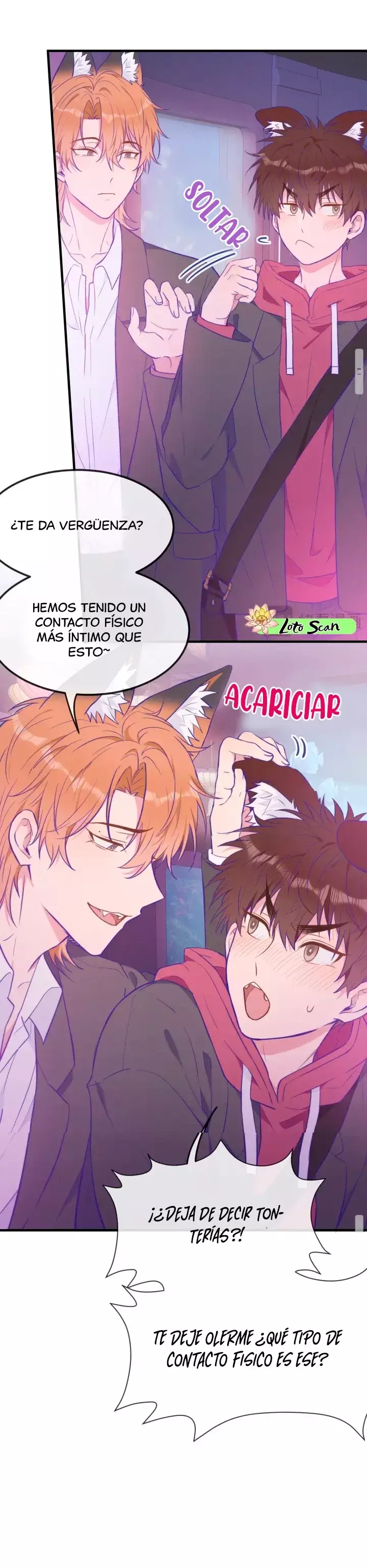 Página 17