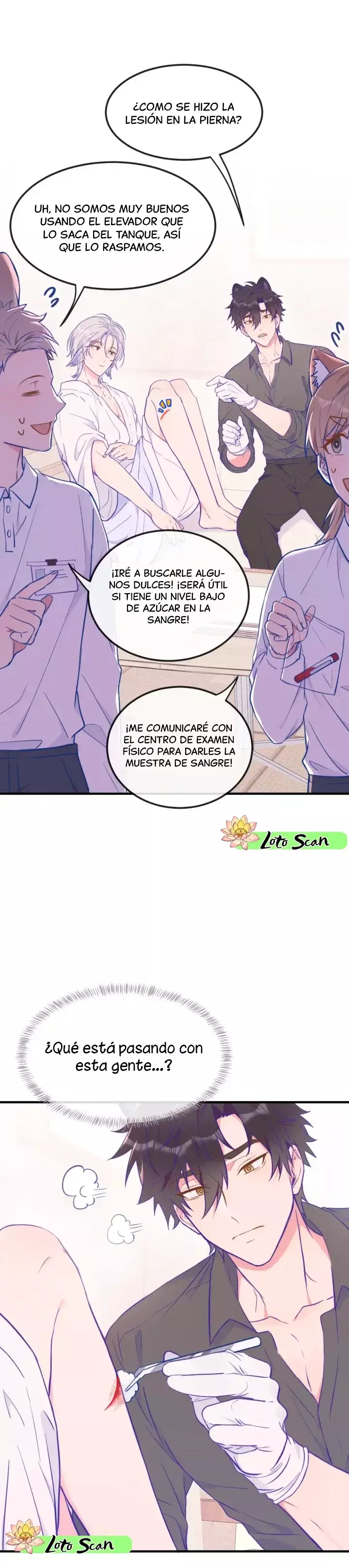 Página 5