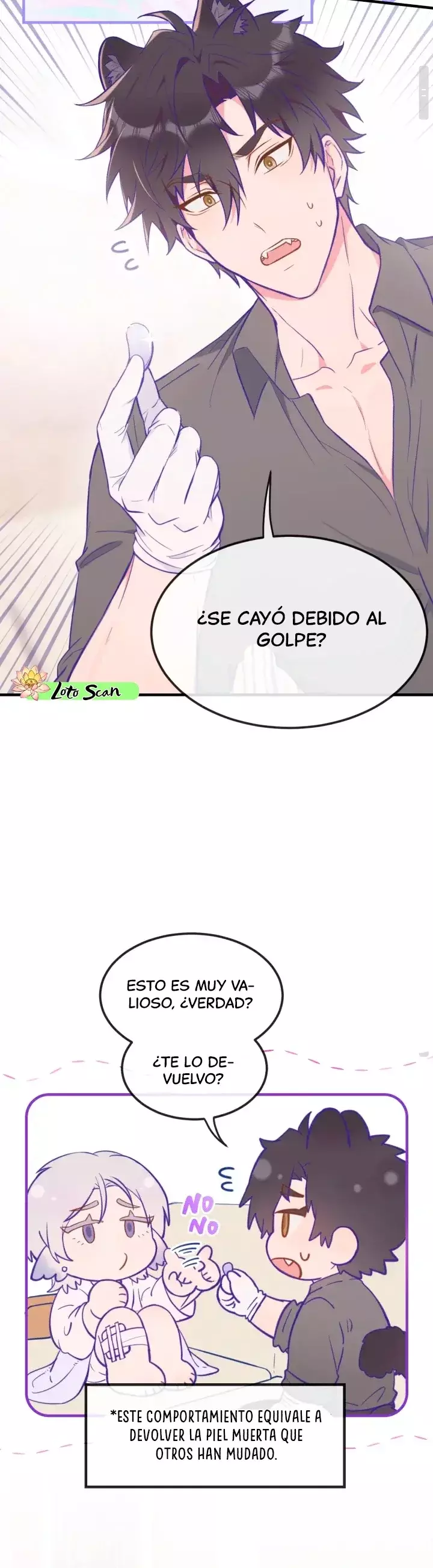 Página 8