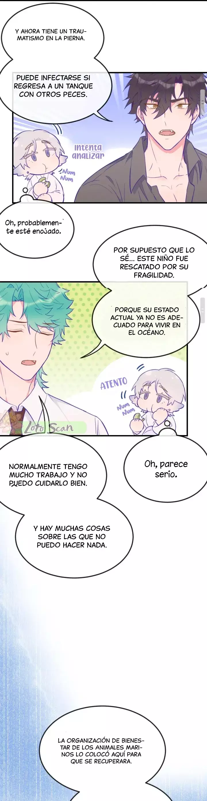 Página 11