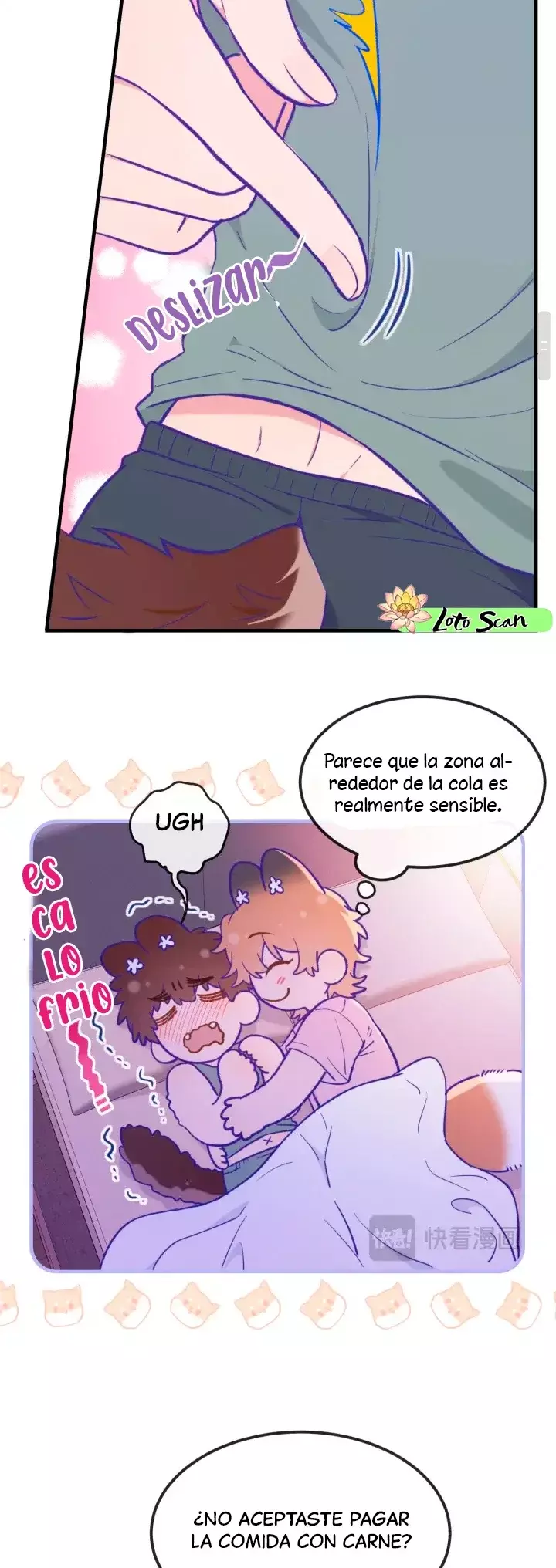 Página 13