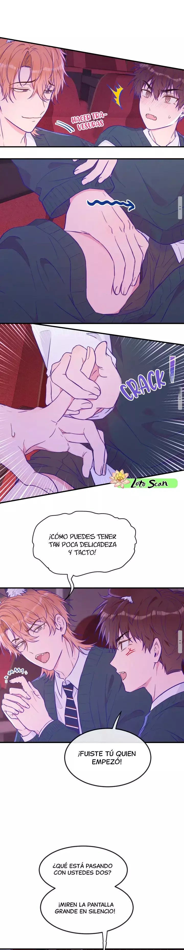 Página 19