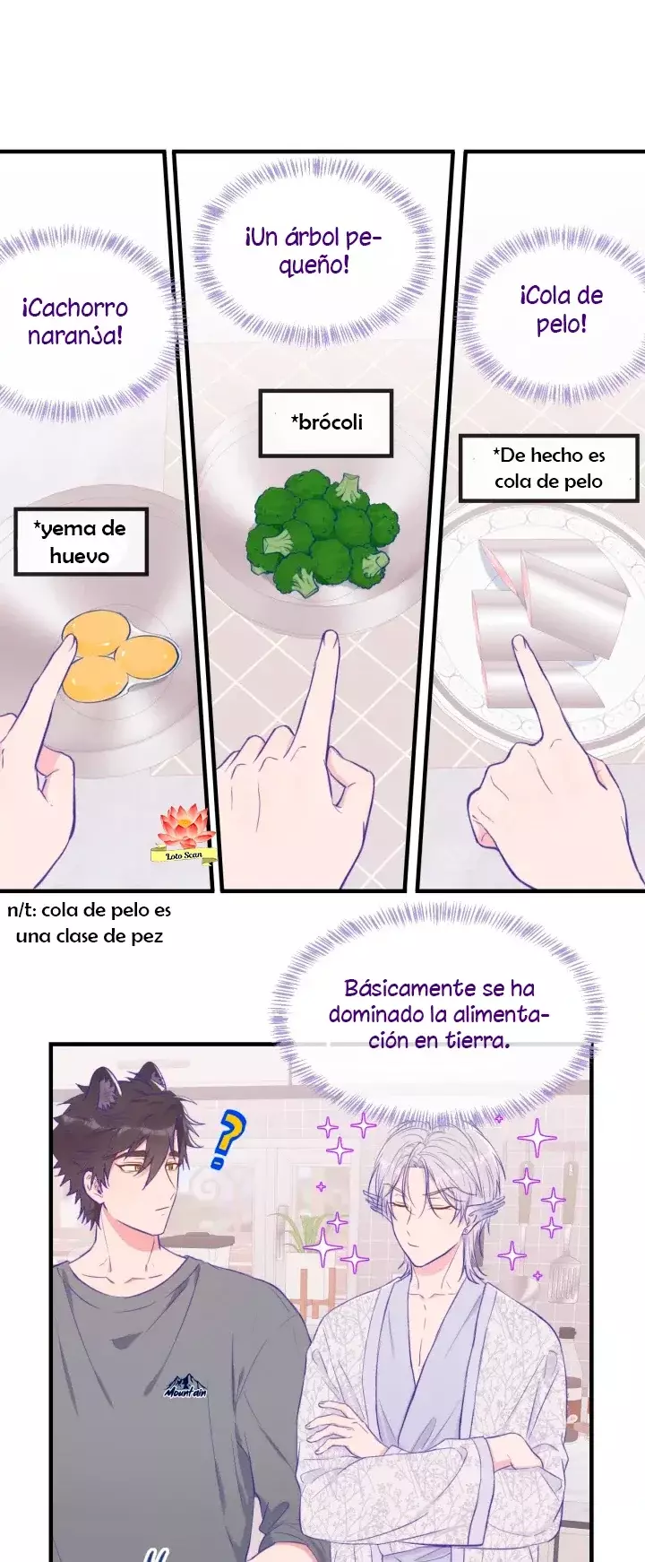 Página 17