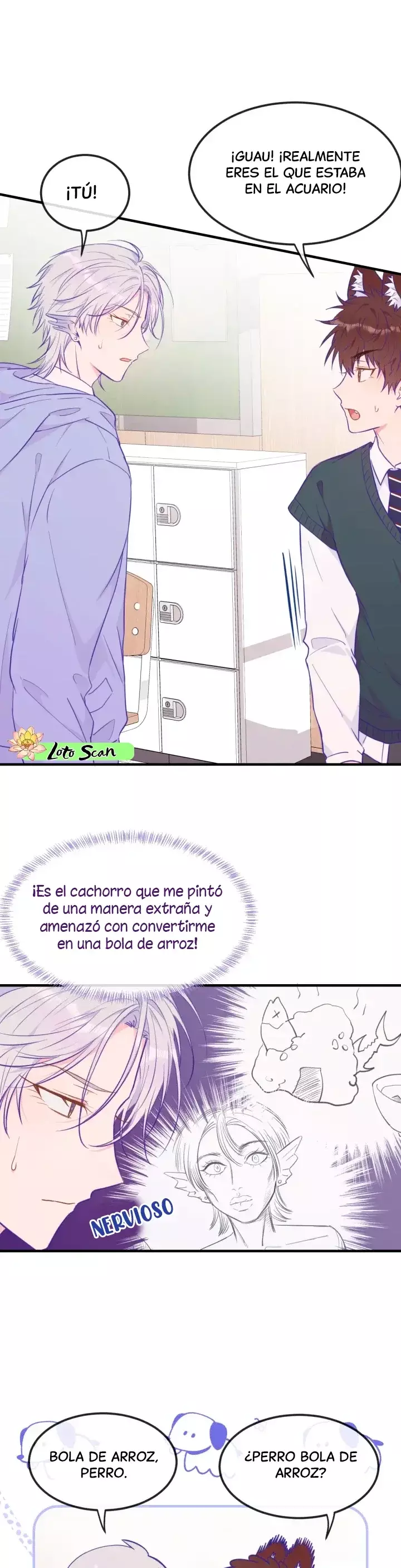 Página 19