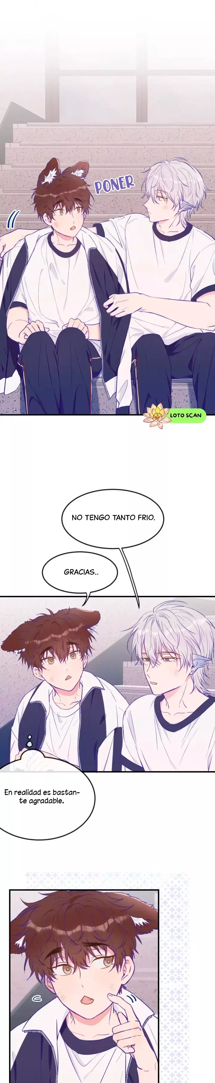 Página 17