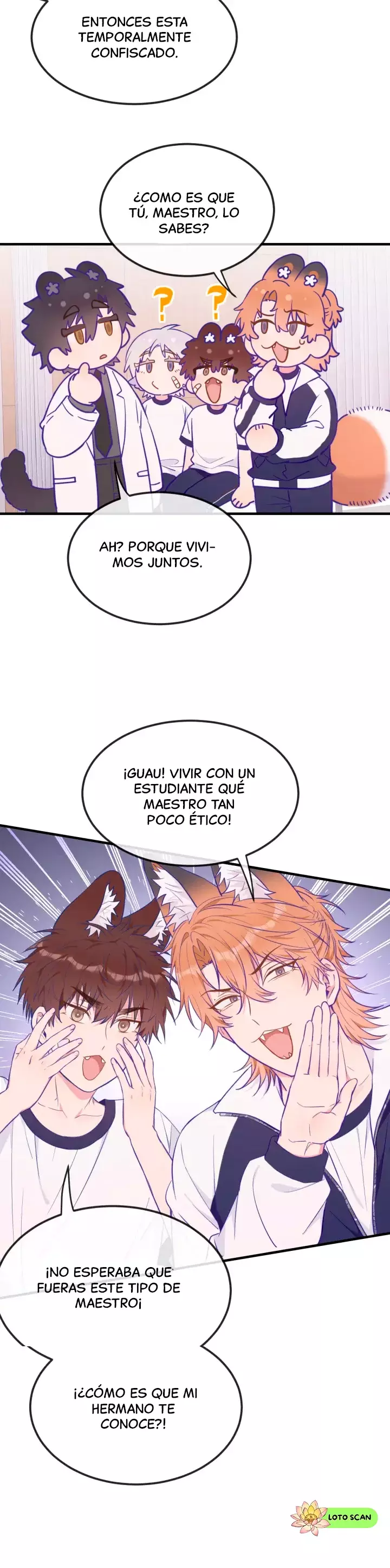 Página 5