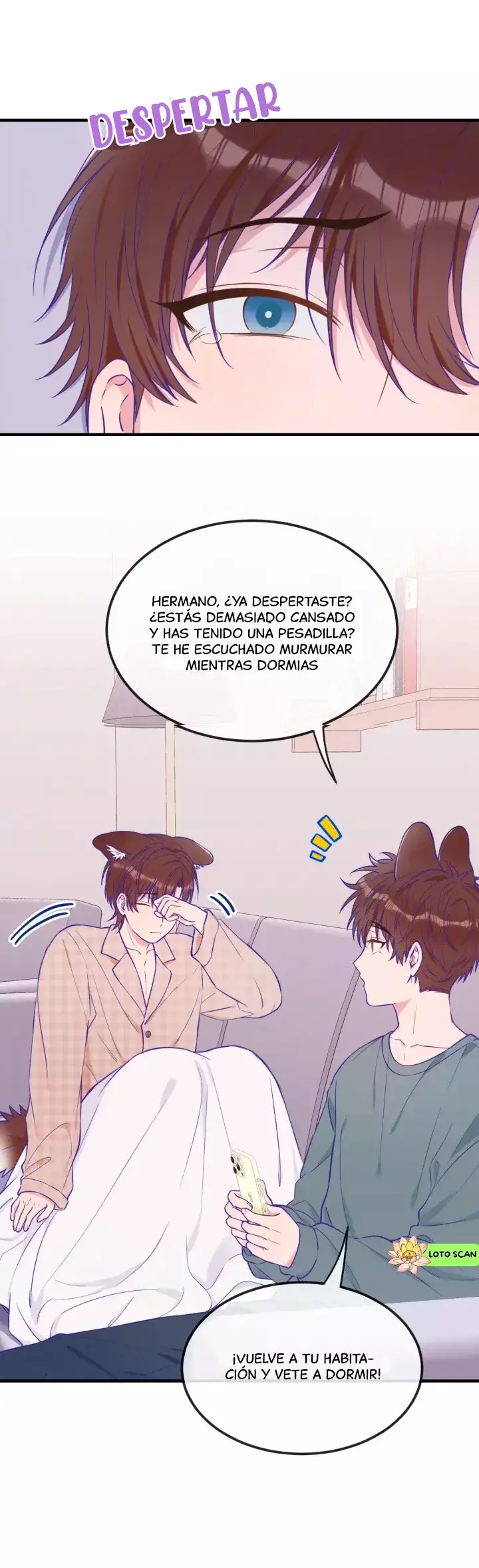 Página 11