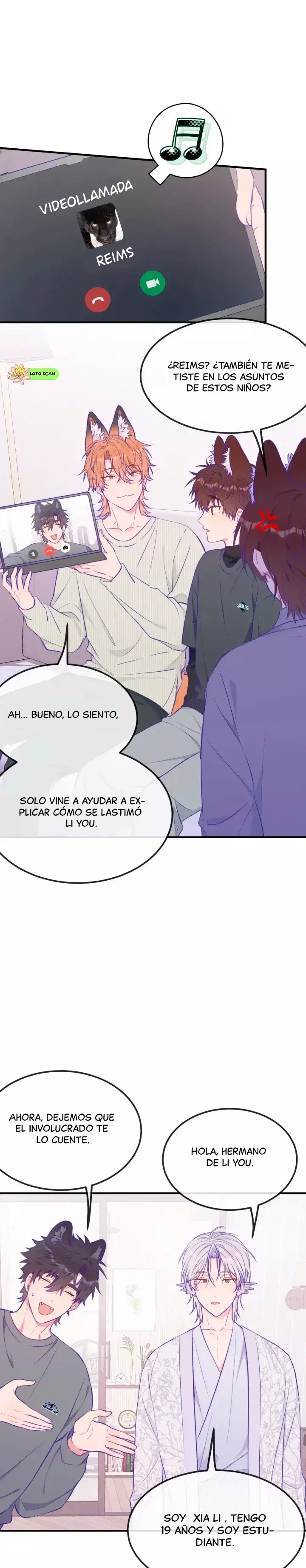 Página 5