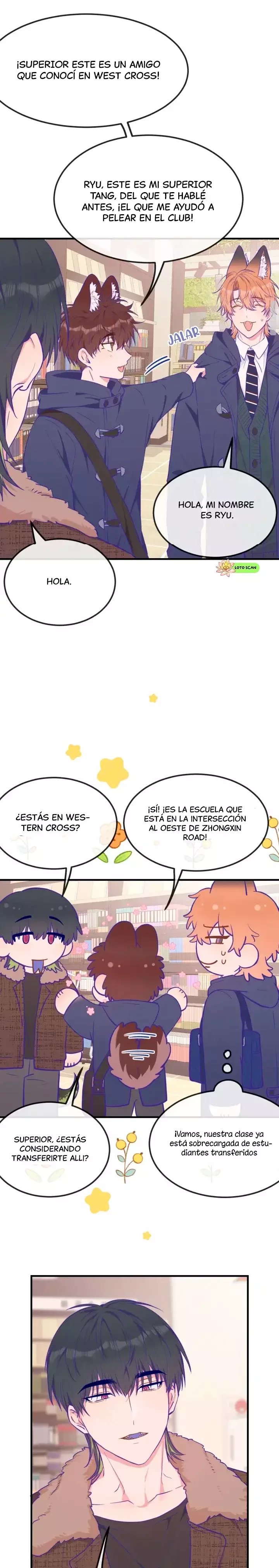 Página 17