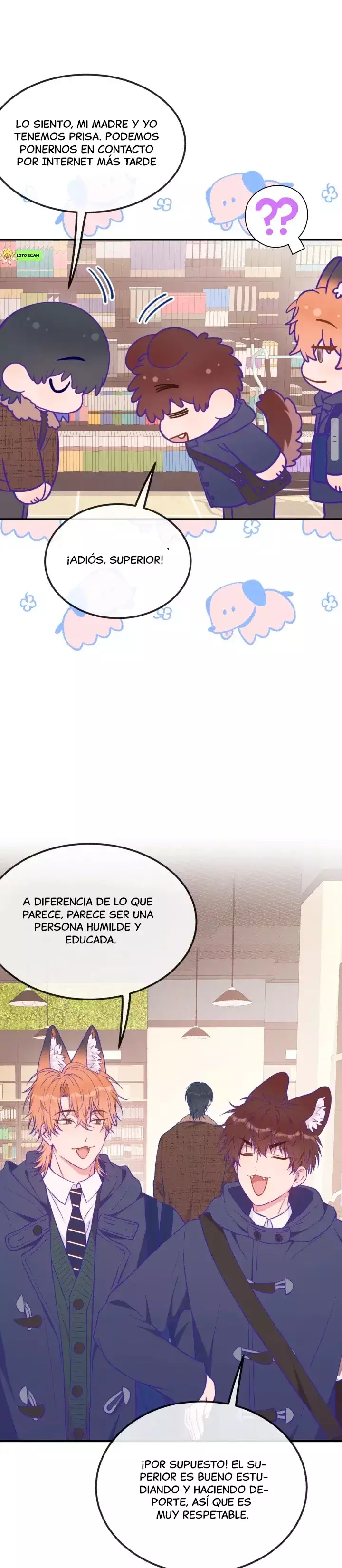 Página 19