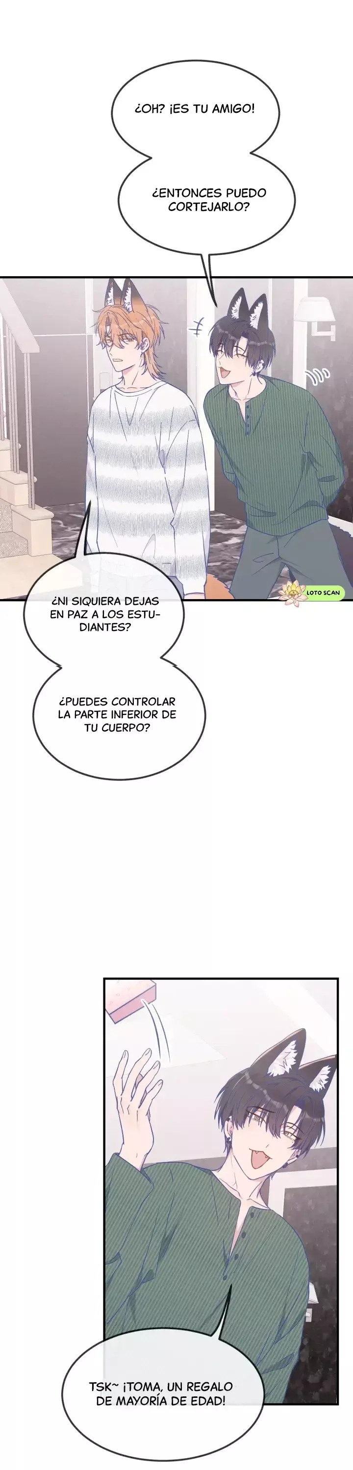 Página 7
