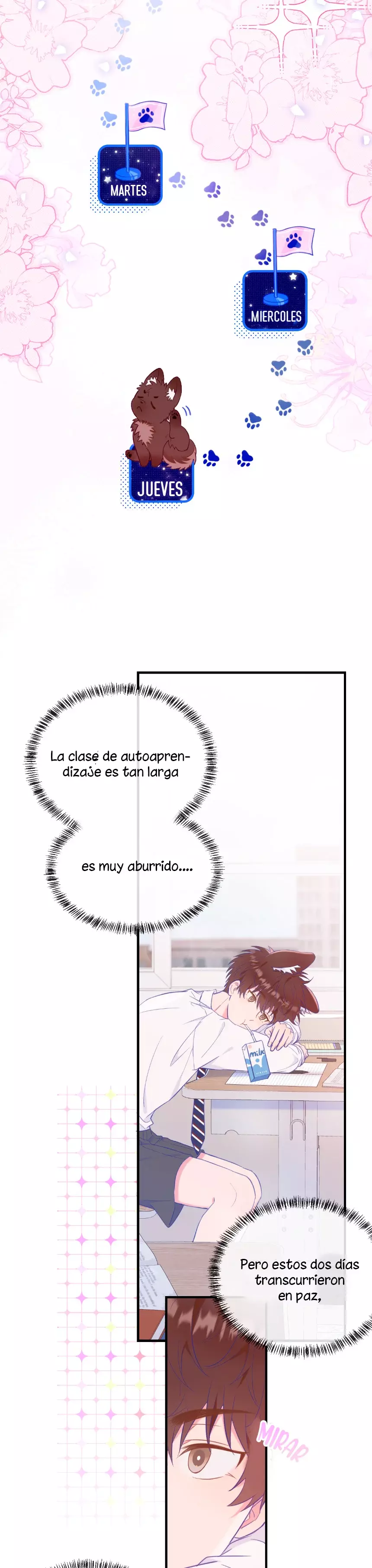 Página 14