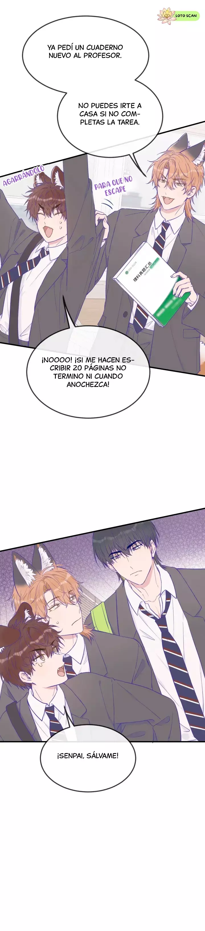 Página 13