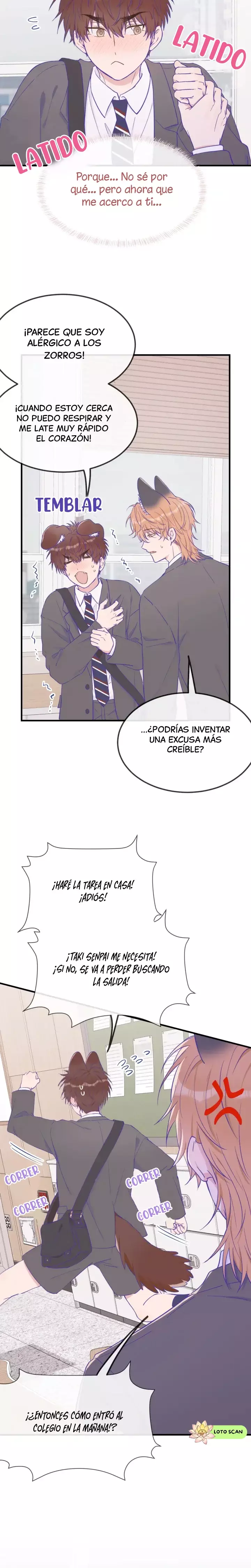 Página 17