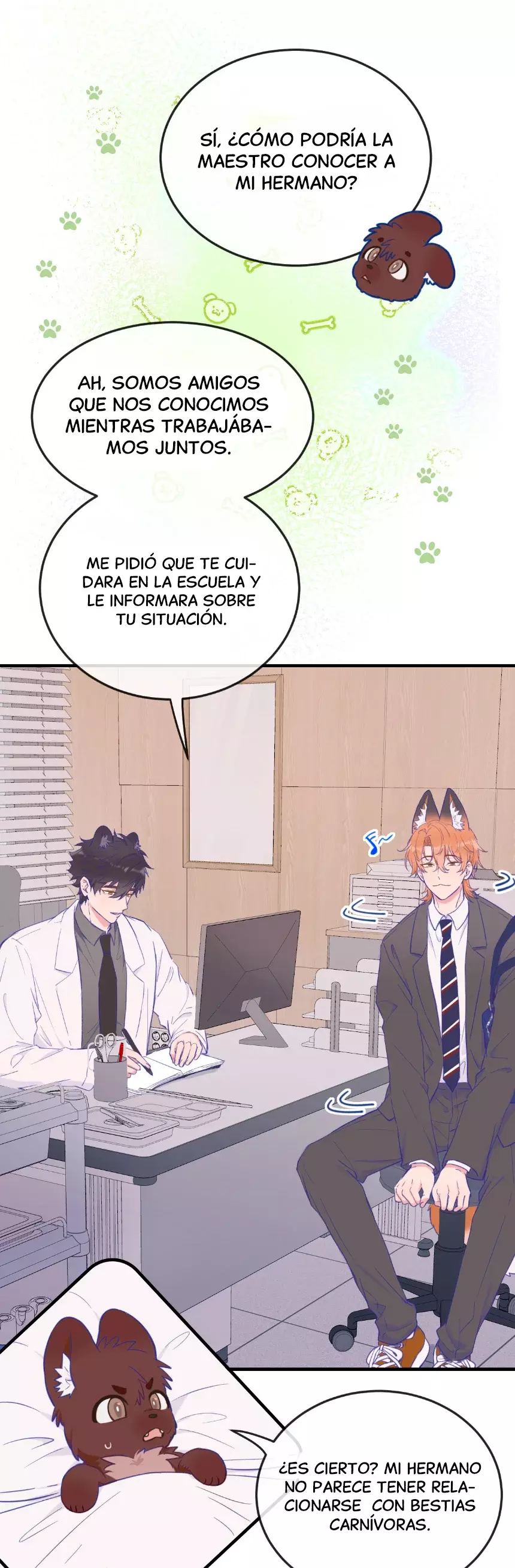 Página 17