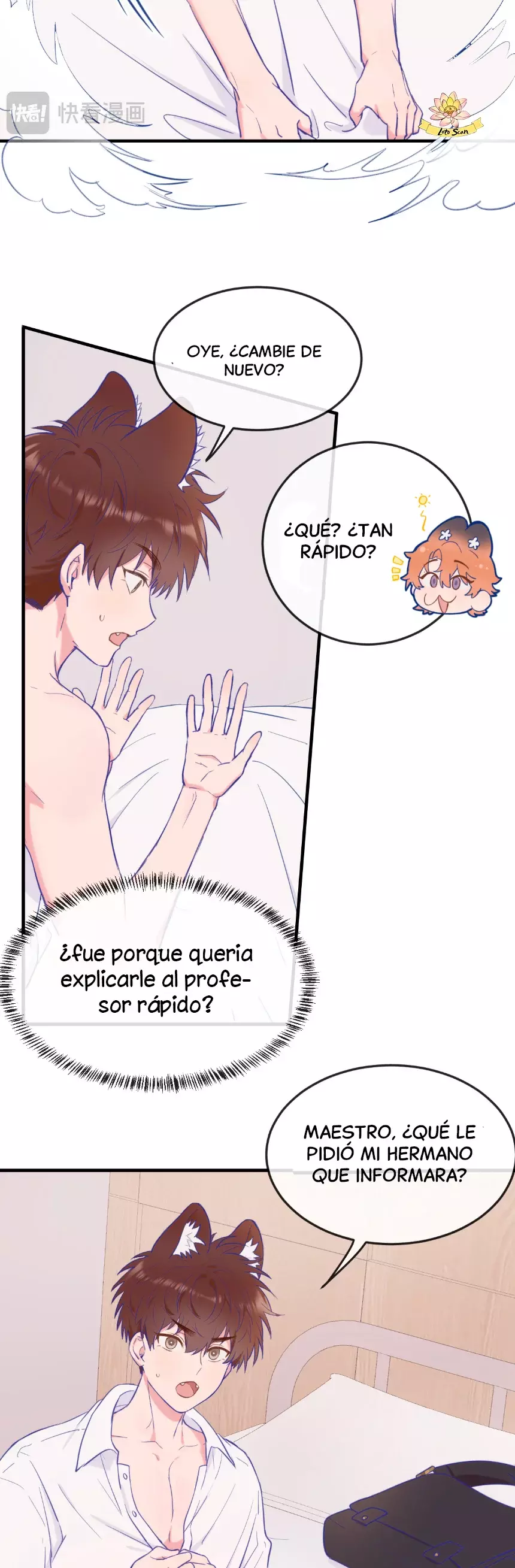 Página 19