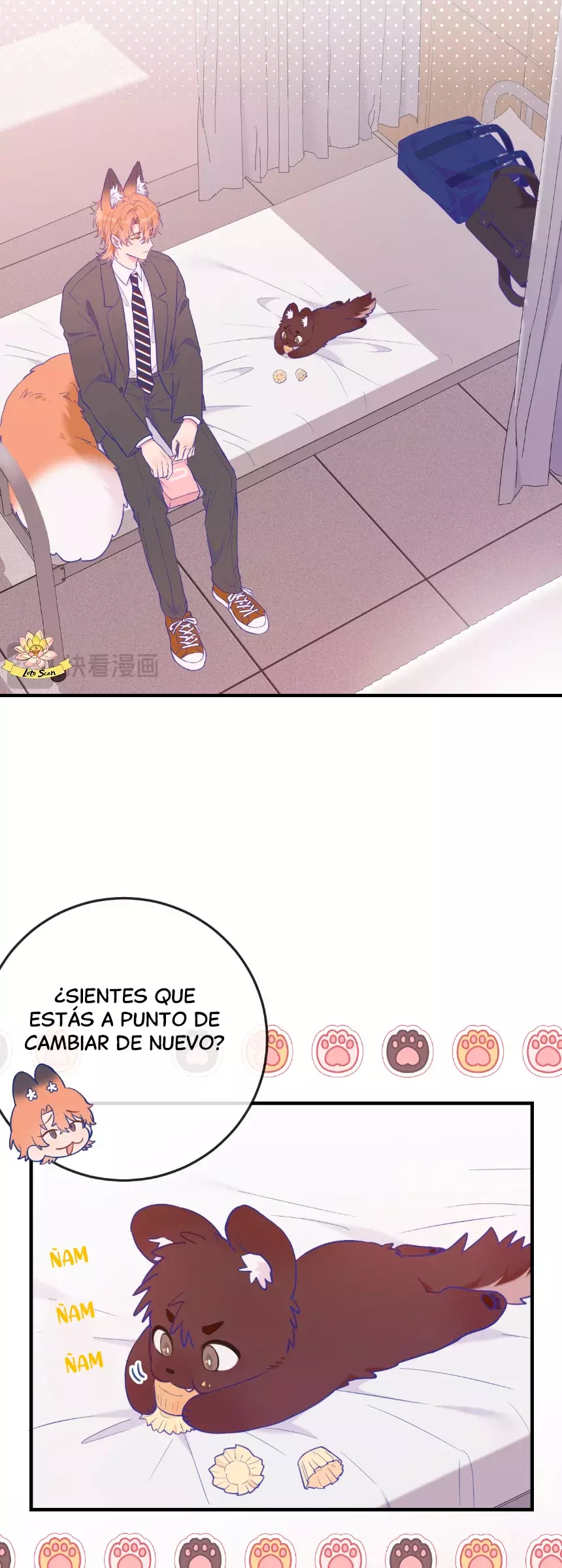 Página 2