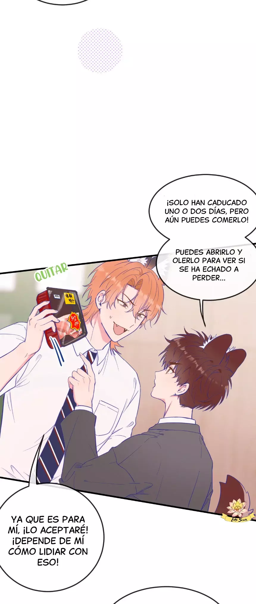 Página 31