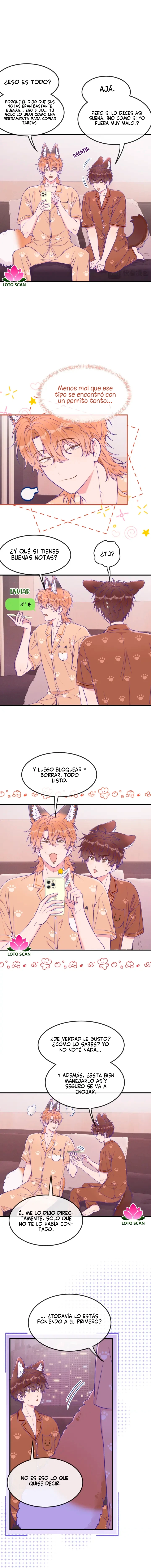 Página 3