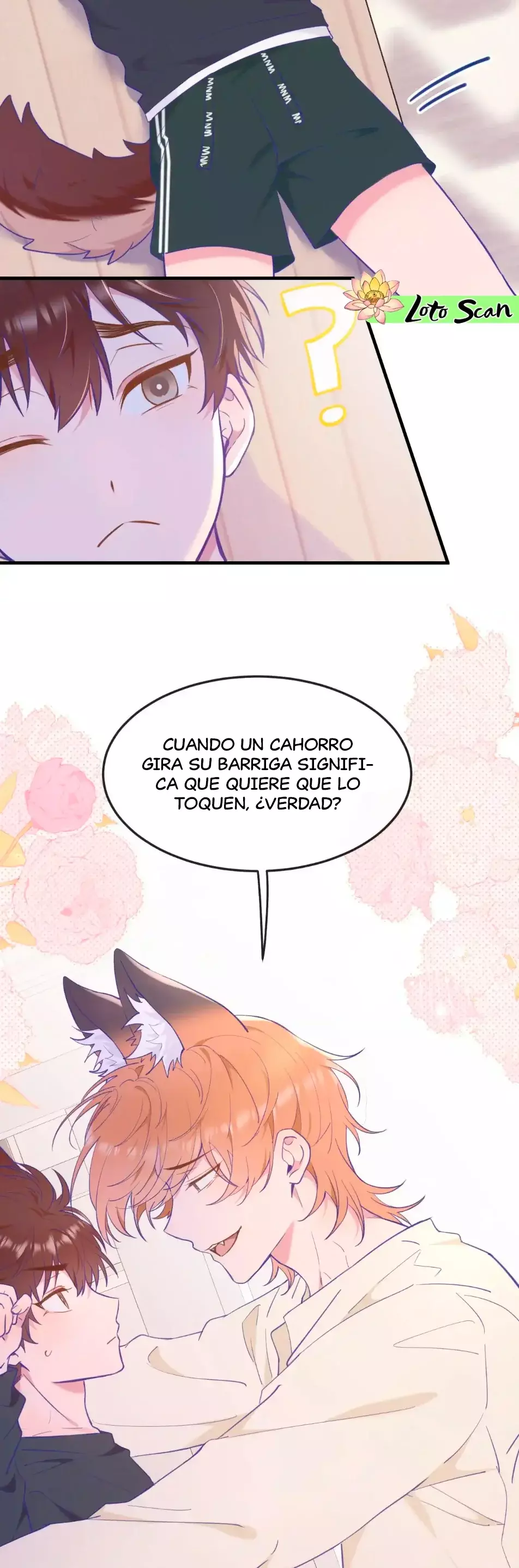 Página 4