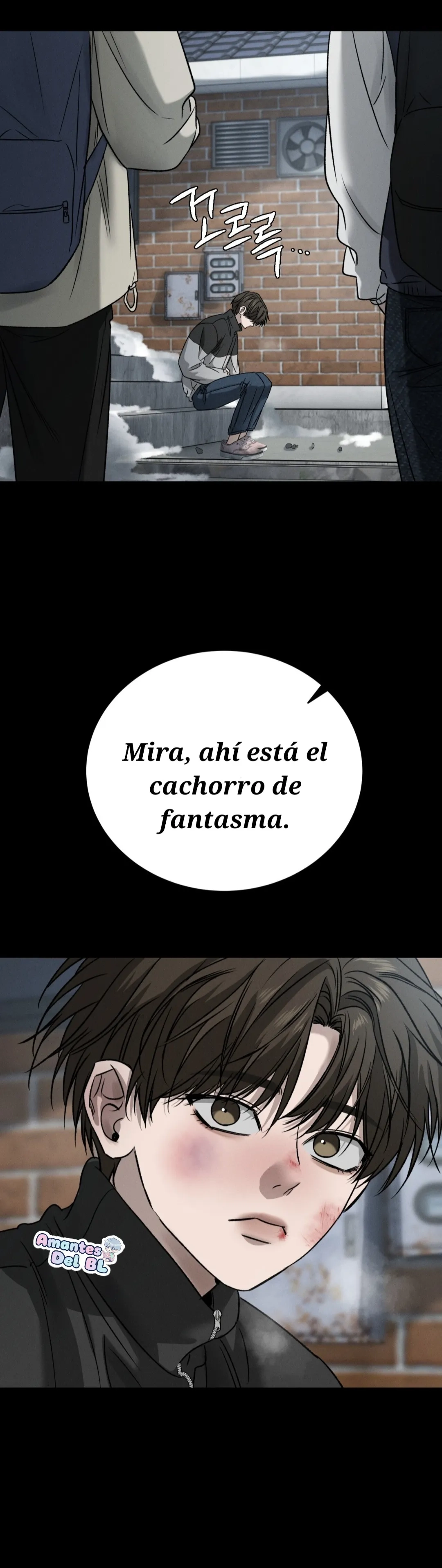 Página 17