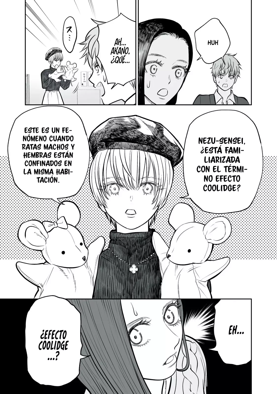 Página 12