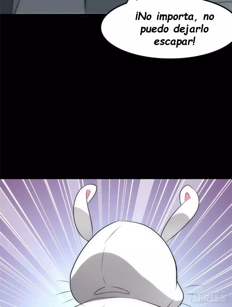 Página 41