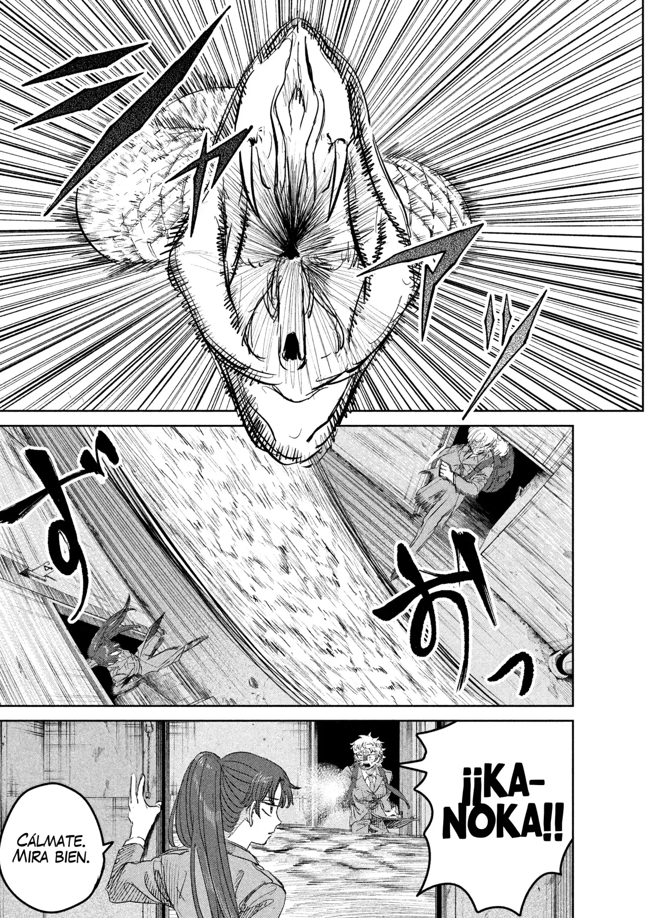 Página 15
