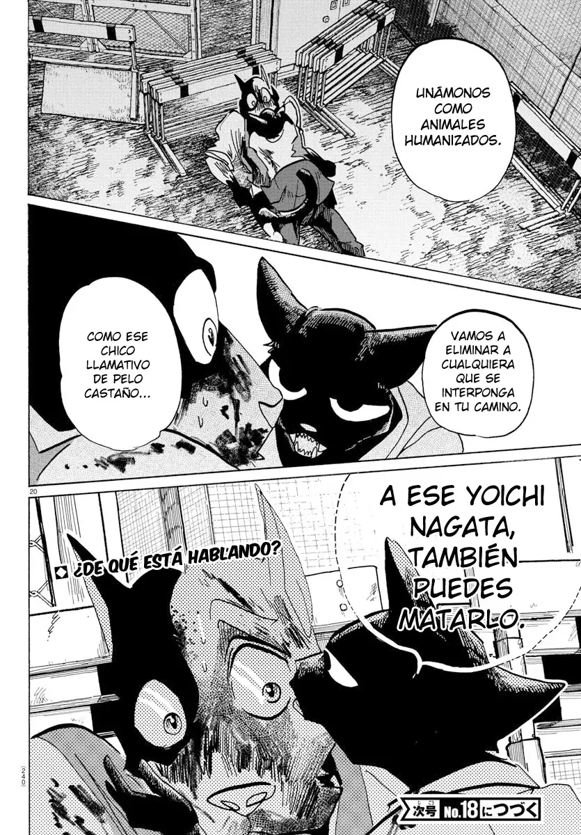 Página 20