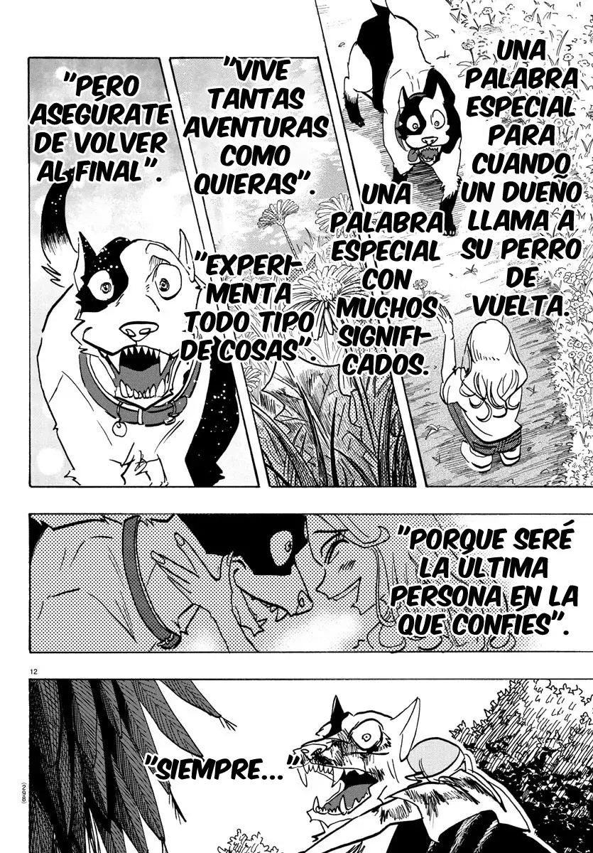 Página 13