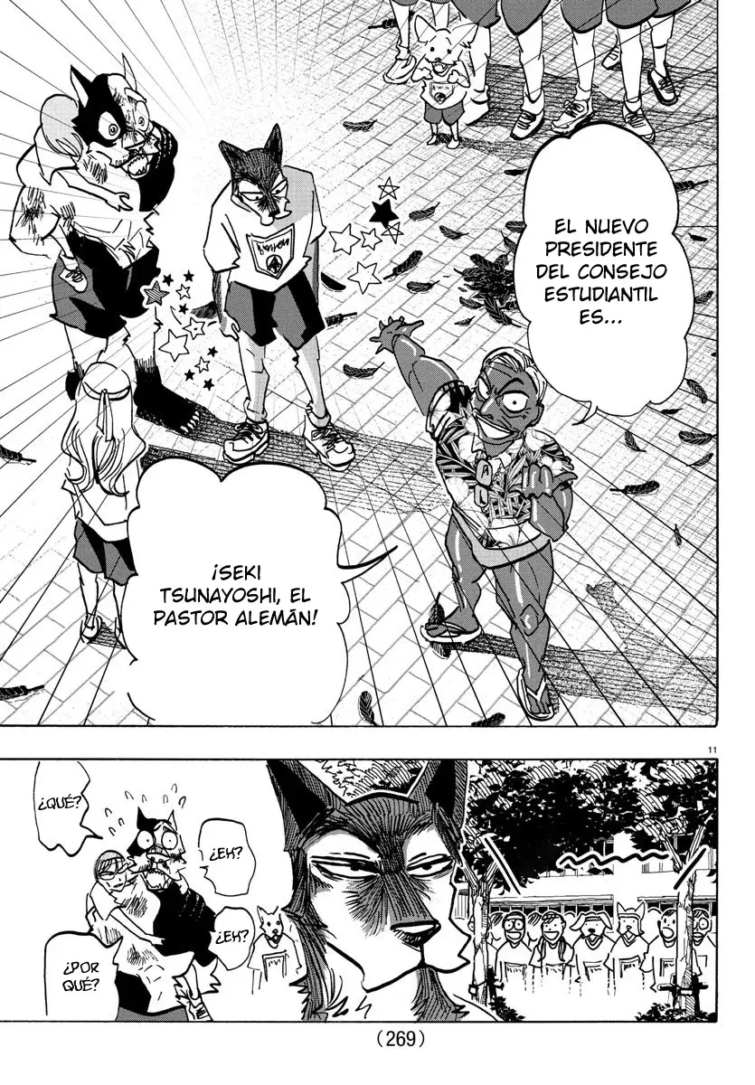Página 11