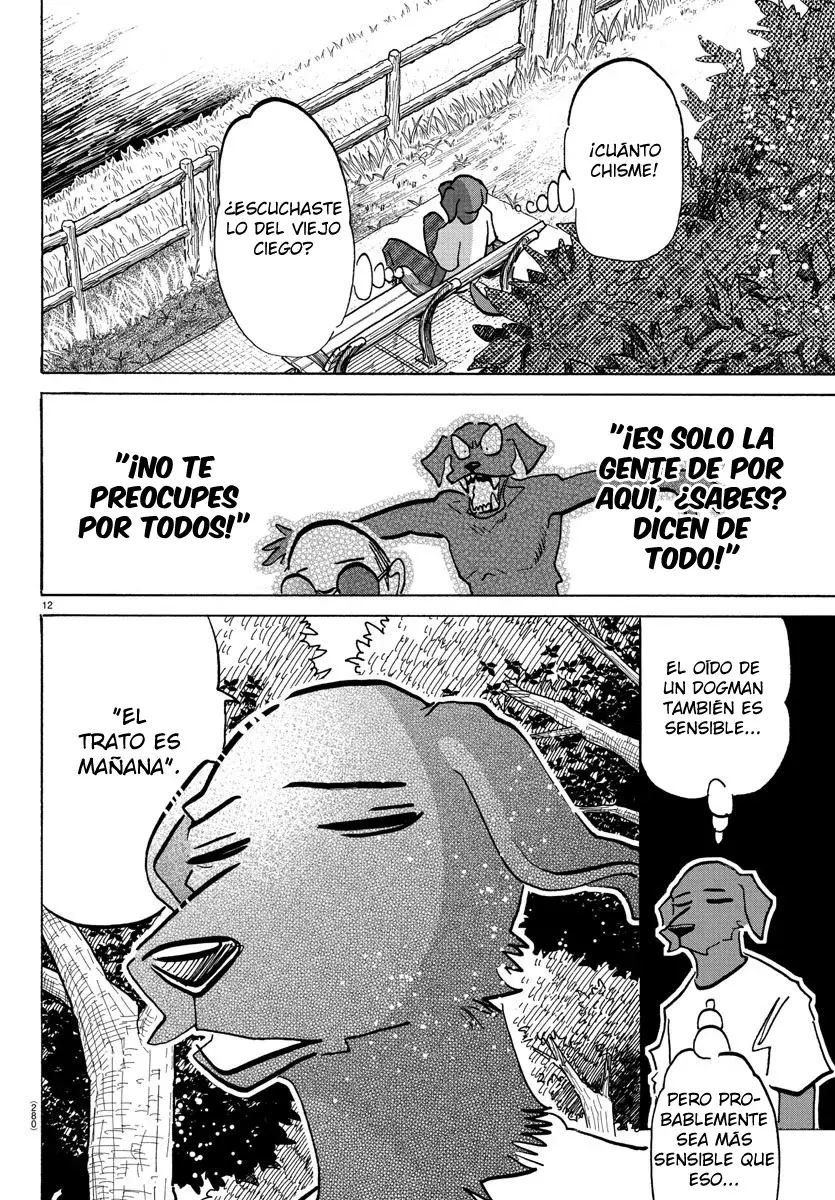 Página 13