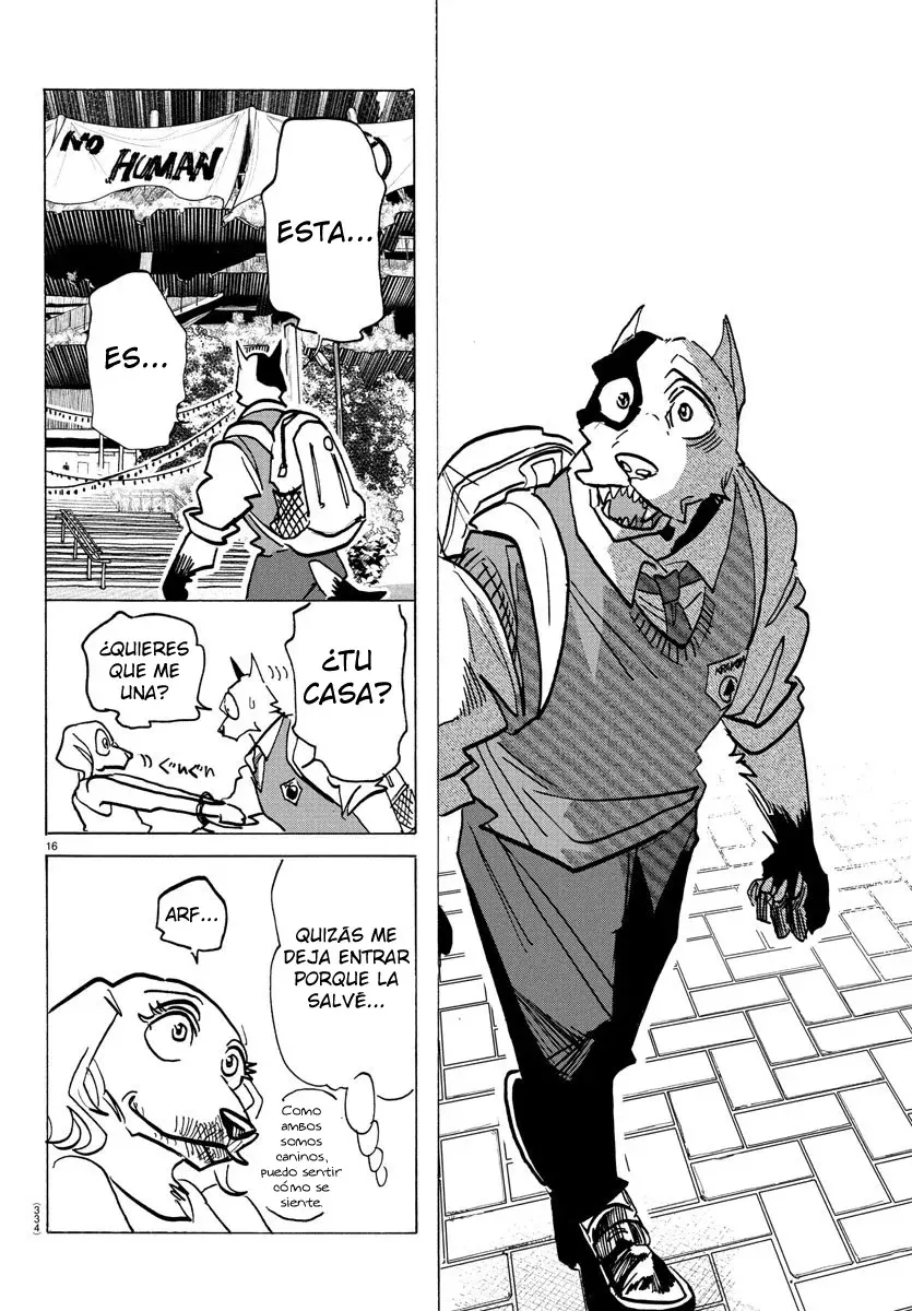 Página 16