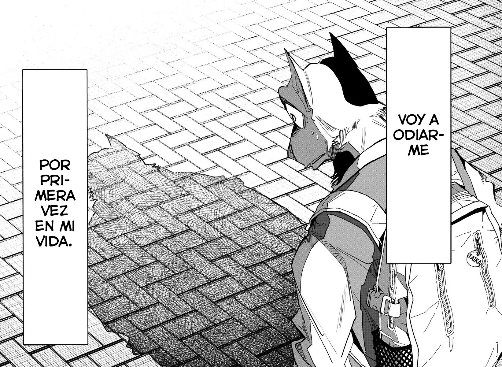 Página 17