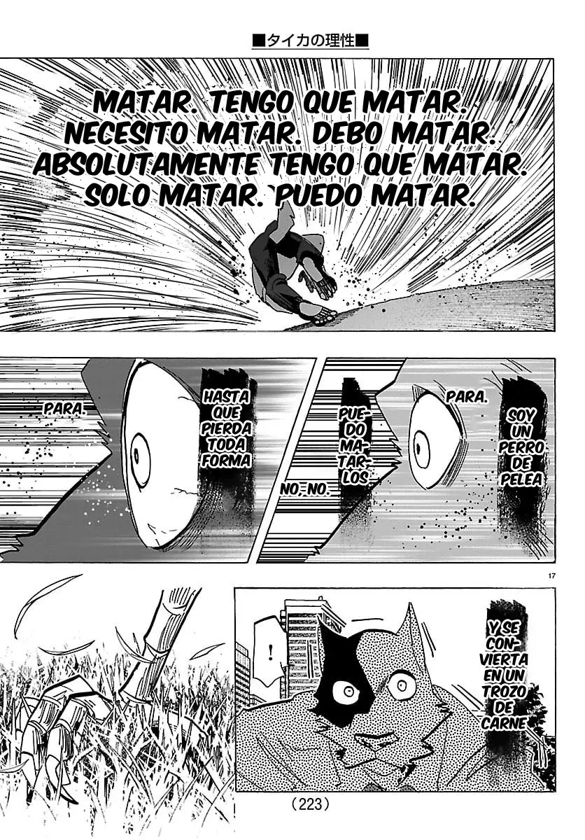 Página 17