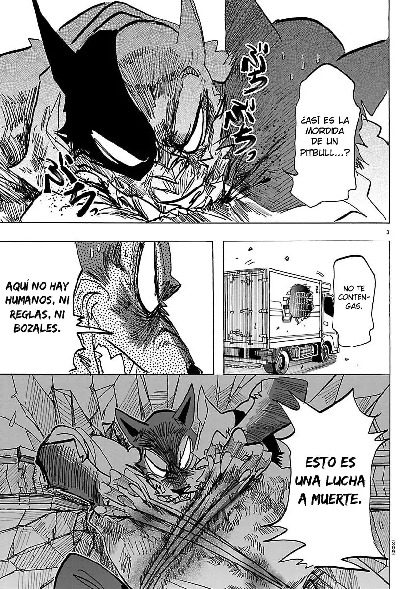 Página 4
