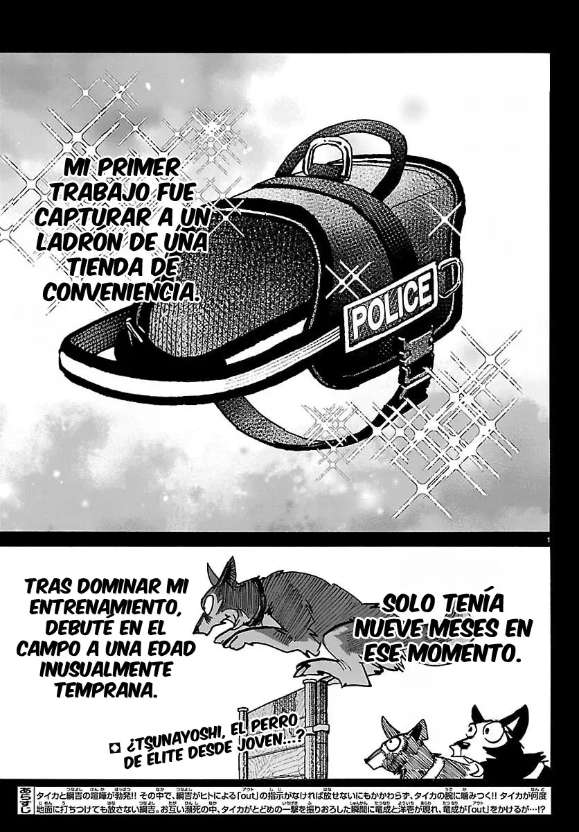 Página 3