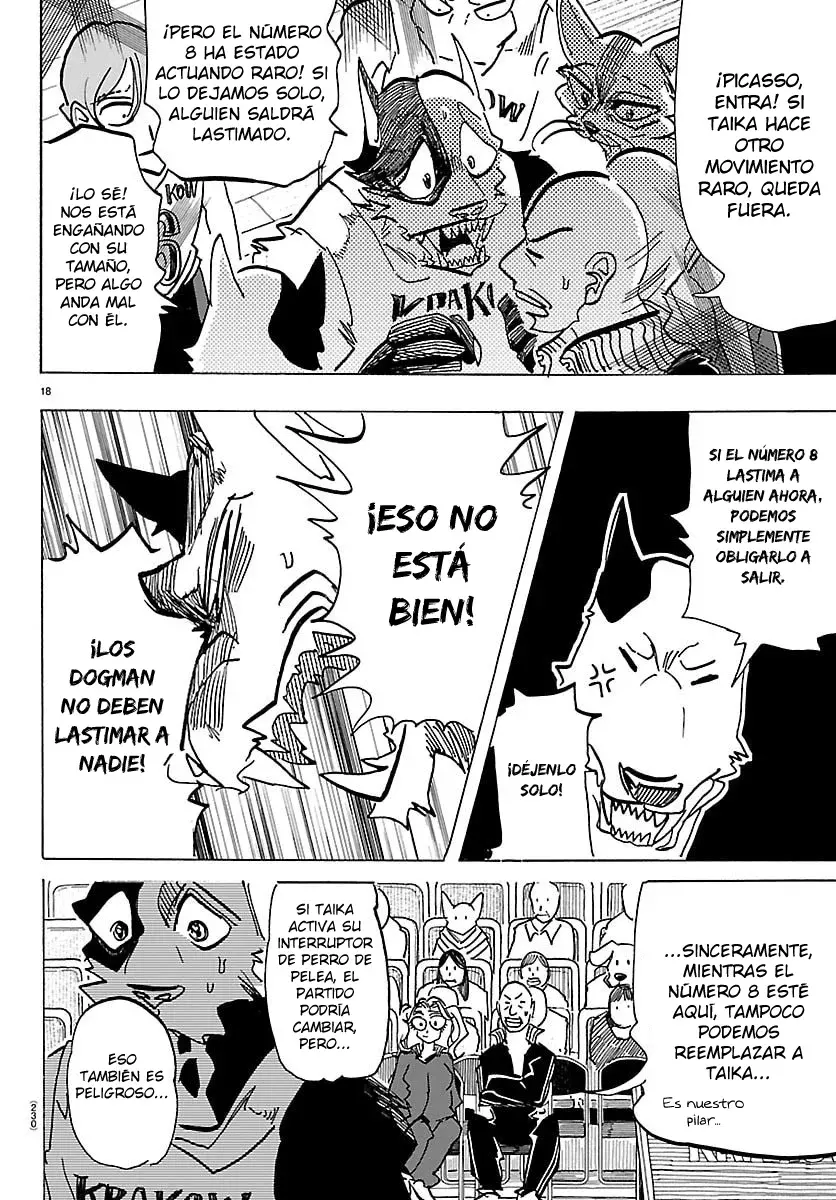 Página 17