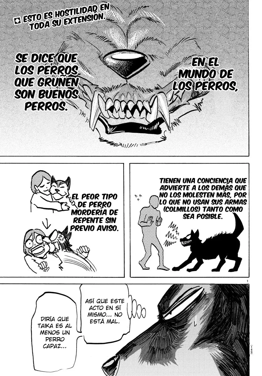 Página 3