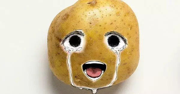Página 11