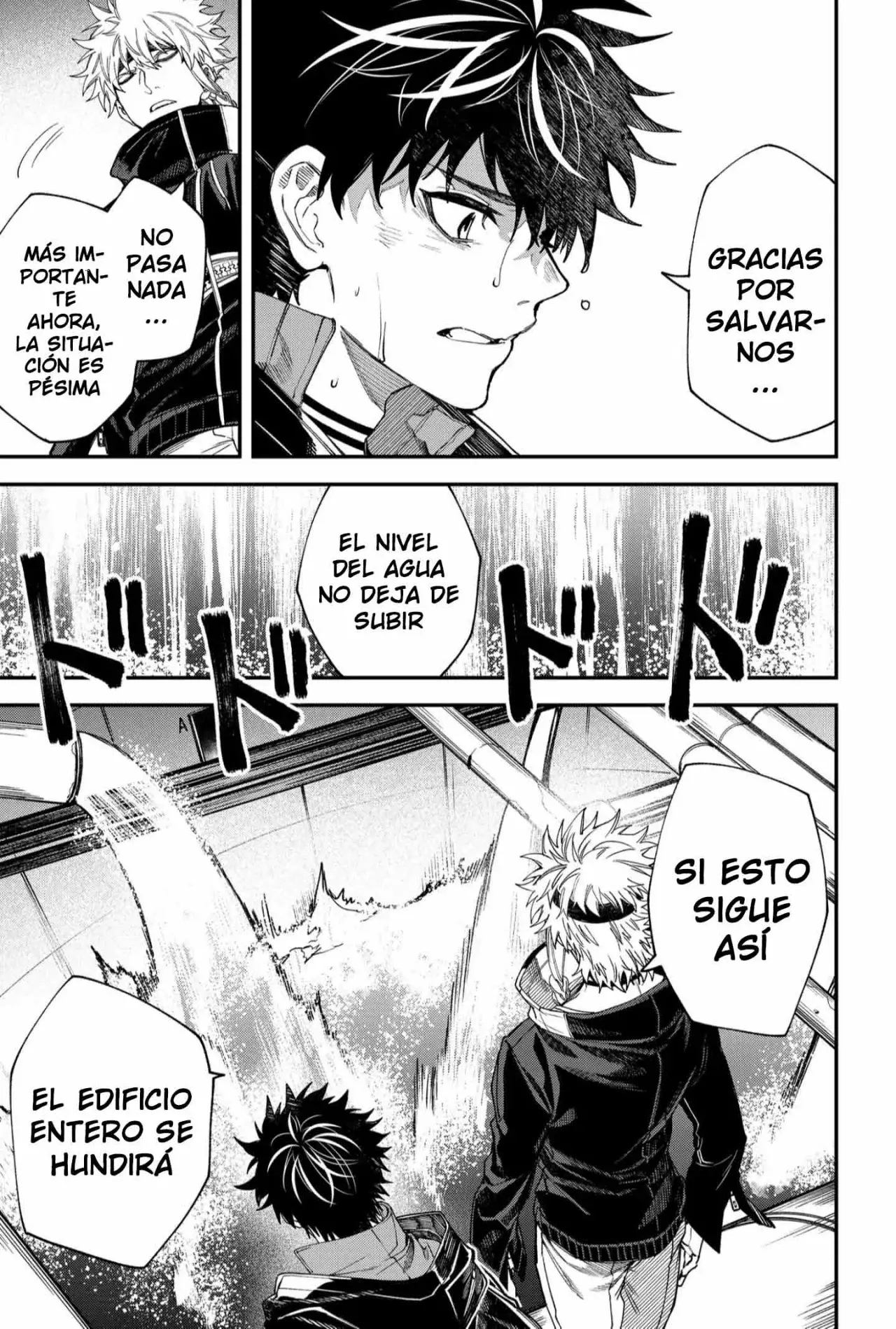 Página 19