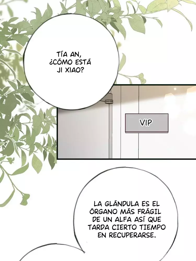 Página 39