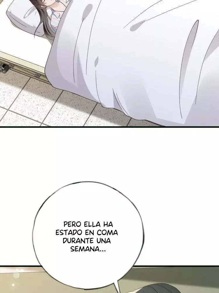 Página 41