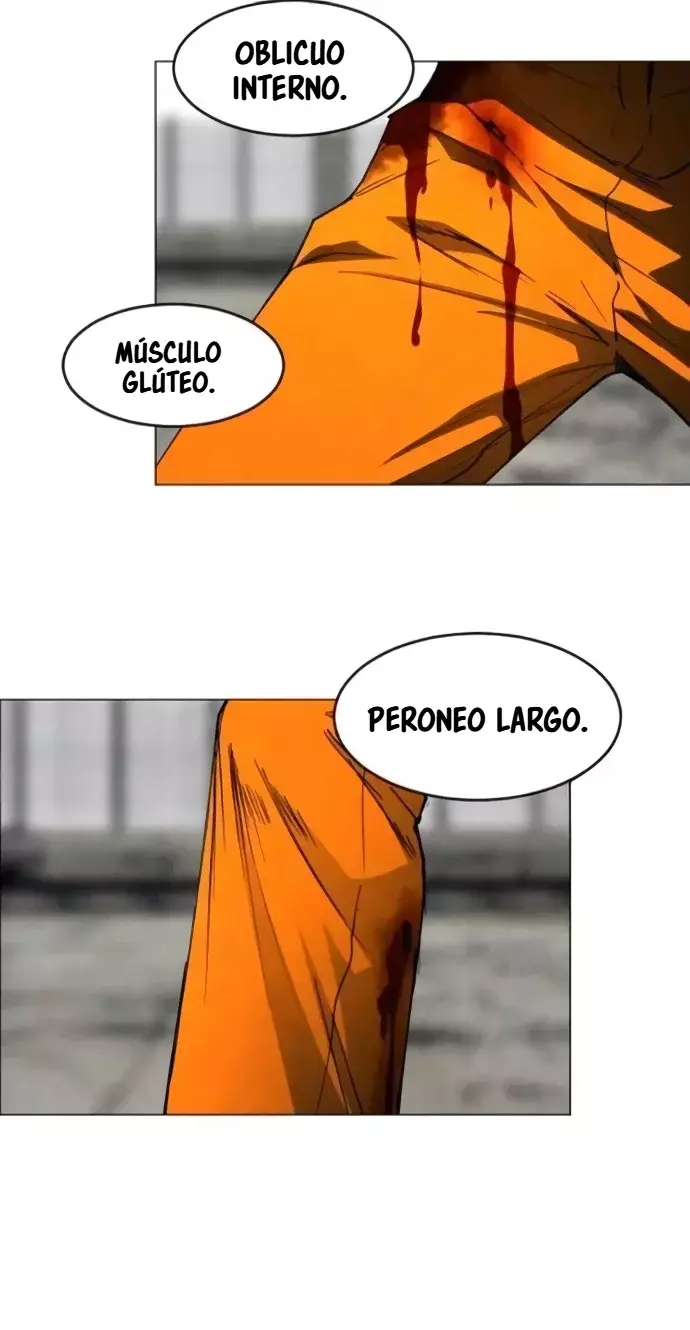 Página 35