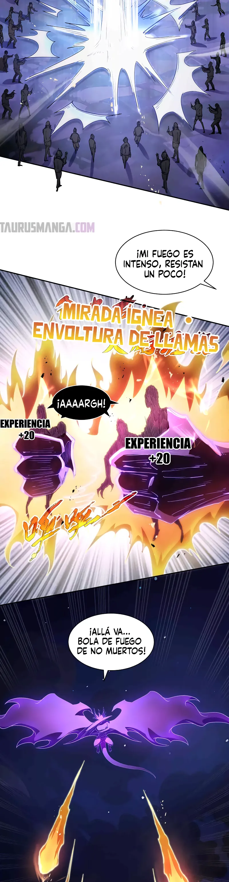 Página 17