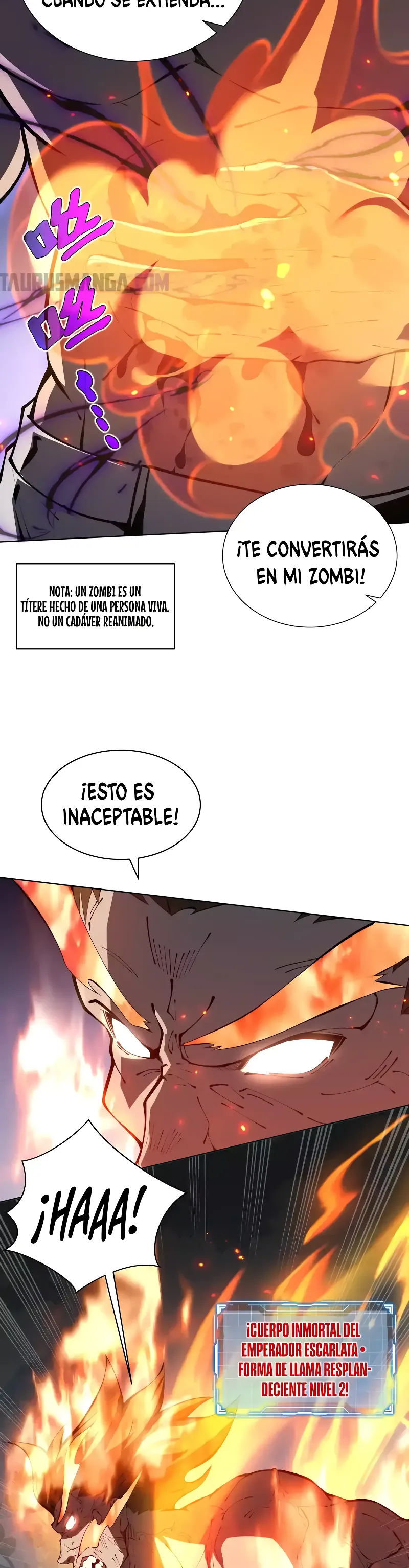 Página 3
