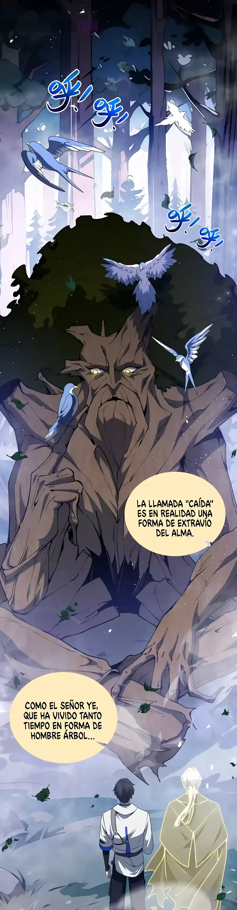 Página 29