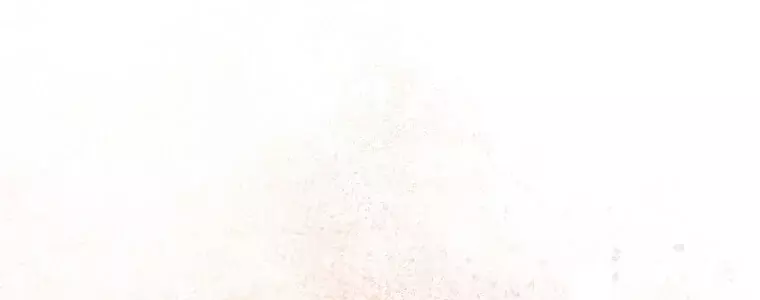 Página 61