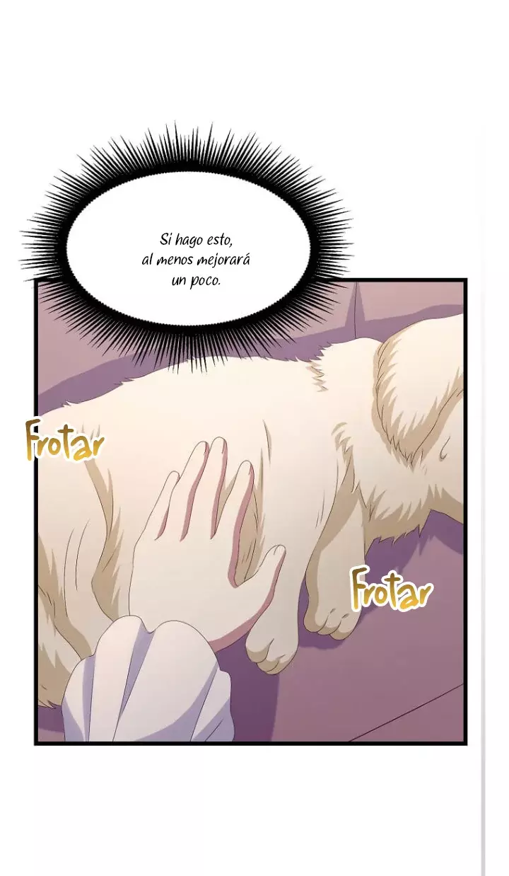 Página 44