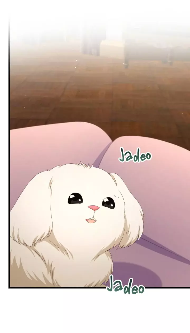 Página 47